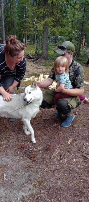 Levi: 2 KM Husky Summer Sledding with wheels - Practical Details and Logistics