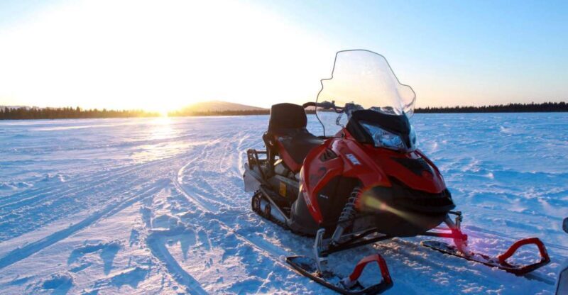 Levi: 3 Hour Snowmobile Safari Around Levi with Coffee Break - What to Expect from the Levi Snowmobile Safari