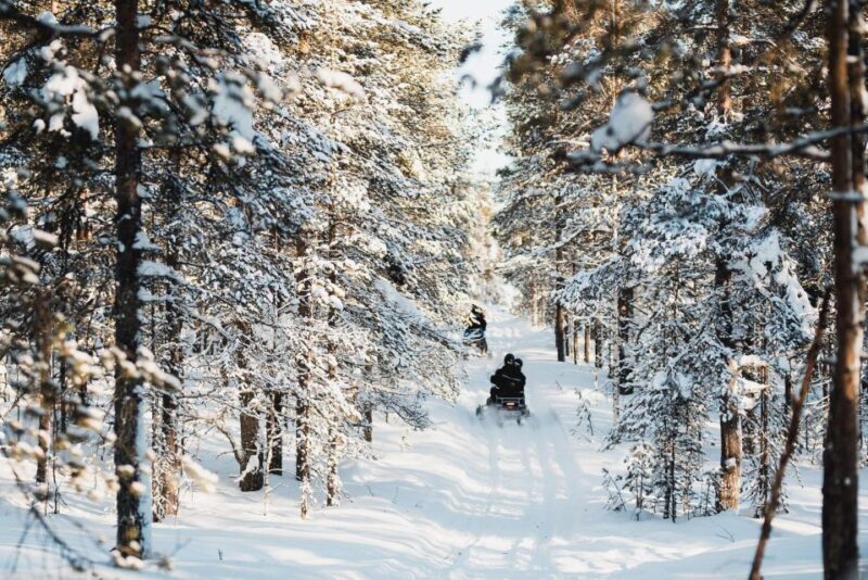 Levi: 3 Hour Snowmobile Safari Around Levi with Coffee Break - Who Will Love This Experience?