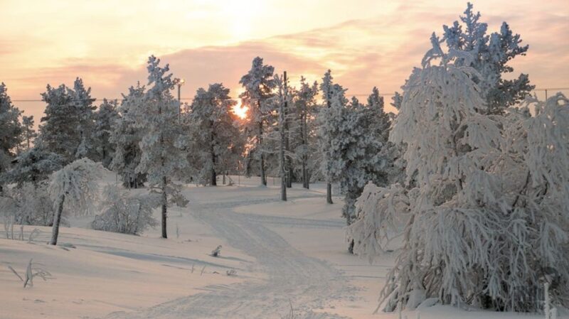 Levi: 4 Hour Snowmobile Safari to the Fells in Levi - An In-Depth Look at the Snowmobile Safari Experience