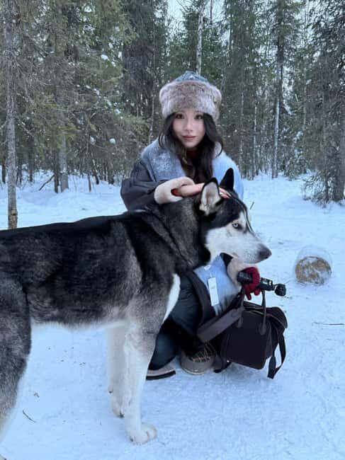 Levi: 5 Km Husky Sledding Ride in Levi - Key Points