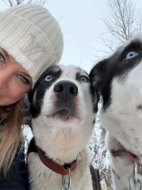 Levi: 5 Km Husky Sledding Ride in Levi - Who Will Love This Tour?