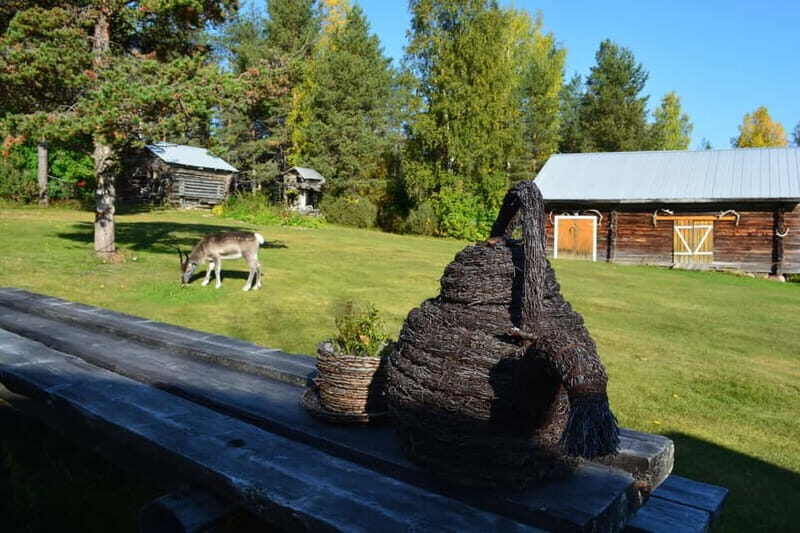 Levi: Canoeing Adventure with Reindeer Farm Visit - The Itinerary and What You Can Expect