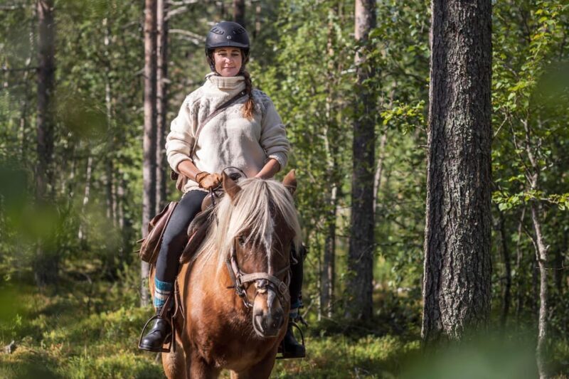 Levi: Evening Horseback Ride with Northern Lights - Detailed Itinerary Breakdown
