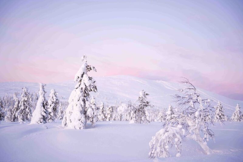 Levi: Explore the Wilderness - The Sum Up