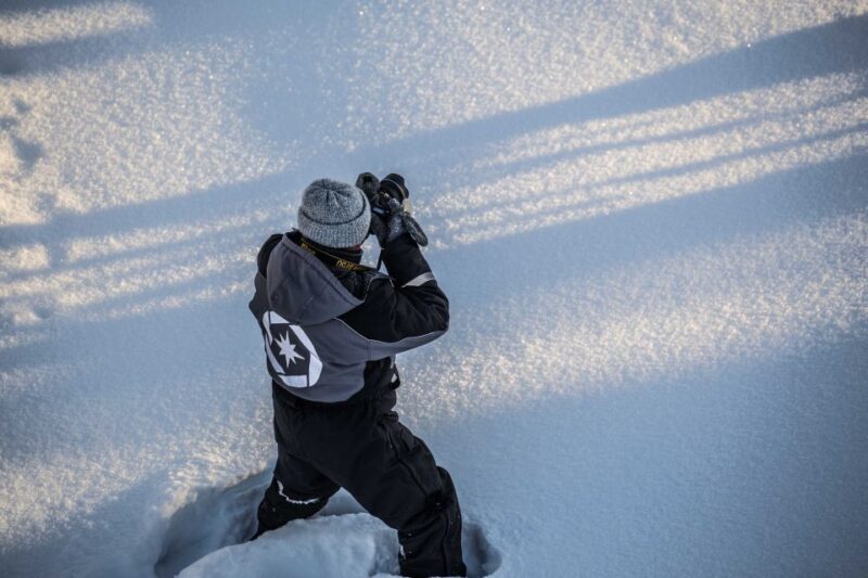 Levi: Explore the Wilderness - FAQ