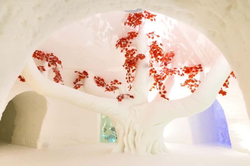 Levi: Guided Trip to Lainio SnowVillage - Exploring the SnowVillage