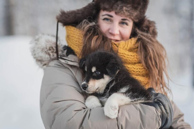 Levi: Horse and Husky Farm Visit with Juice and Cookies - Key Points