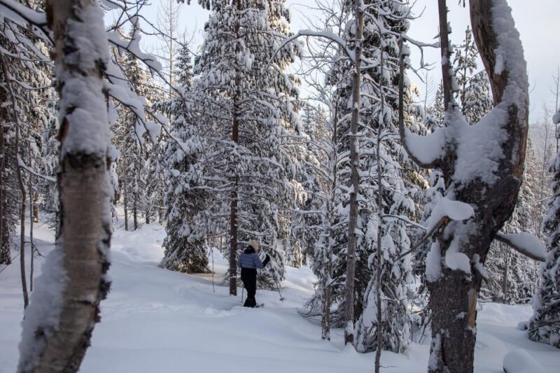 Levi: Lakeside forest snowshoeing - Key Points