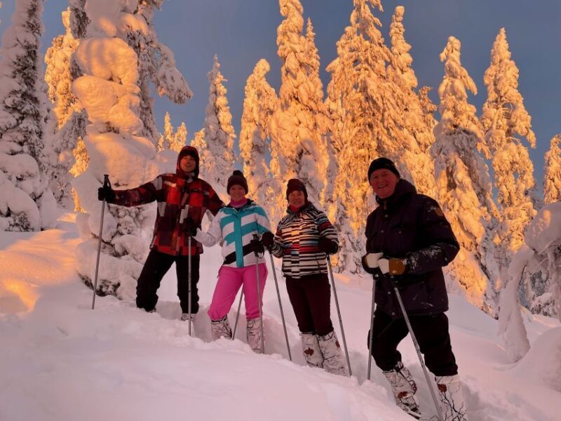Levi: Lakeside forest snowshoeing - An In-Depth Look at the Levi Lakeside Forest Snowshoeing Tour