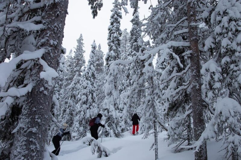 Levi: Lakeside forest snowshoeing - Practical Information & Tips