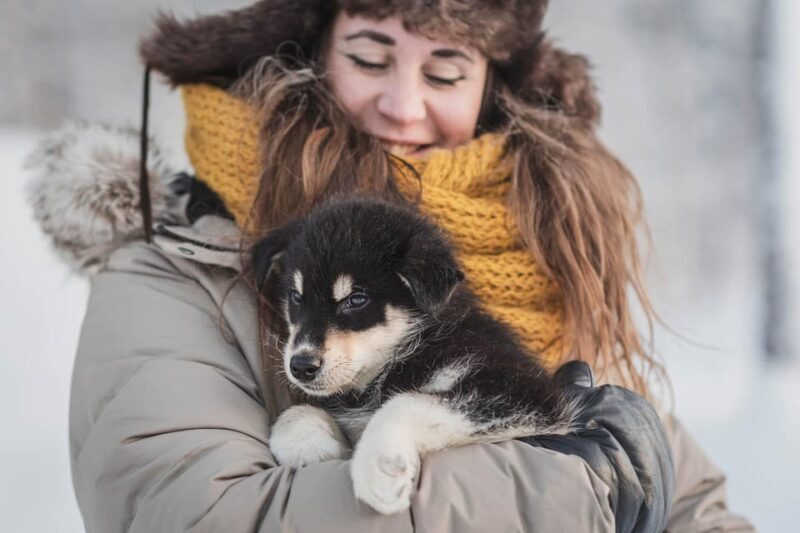 Levi: Nature Walk with Huskies - An In-Depth Look at the Levi: Nature Walk with Huskies
