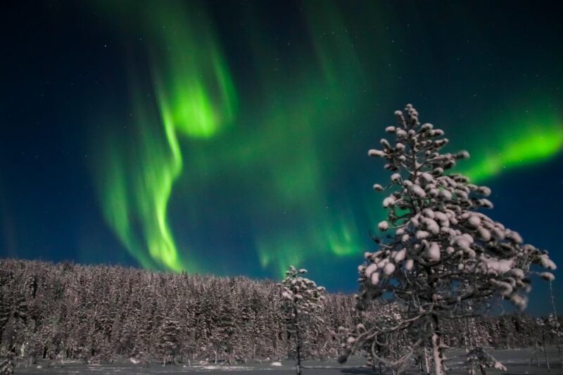 Levi: Northern Lights Campfire - What to Expect from the Northern Lights Campfire Tour