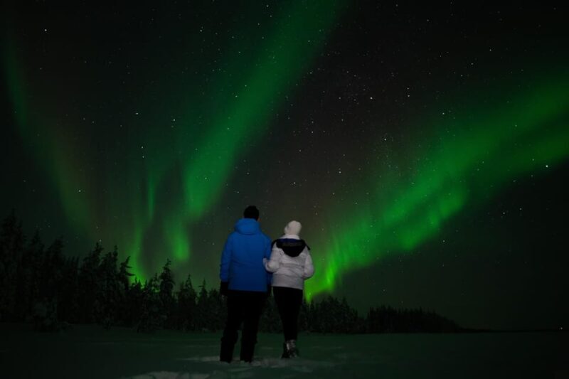 Levi: Northern Lights Sledge Ride - The Experience on the Ground: Pros & Cons