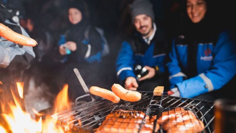 Levi: Northern Lights Snowmobile Tour with Snacks and Drinks - The Experience: What You Can Expect from This Snowmobile Safari