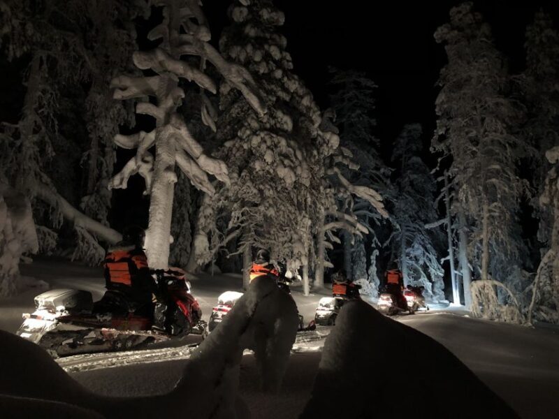Levi: Northern Lights Snowmobile Tour with Snacks and Drinks - Who Should Consider This Tour?