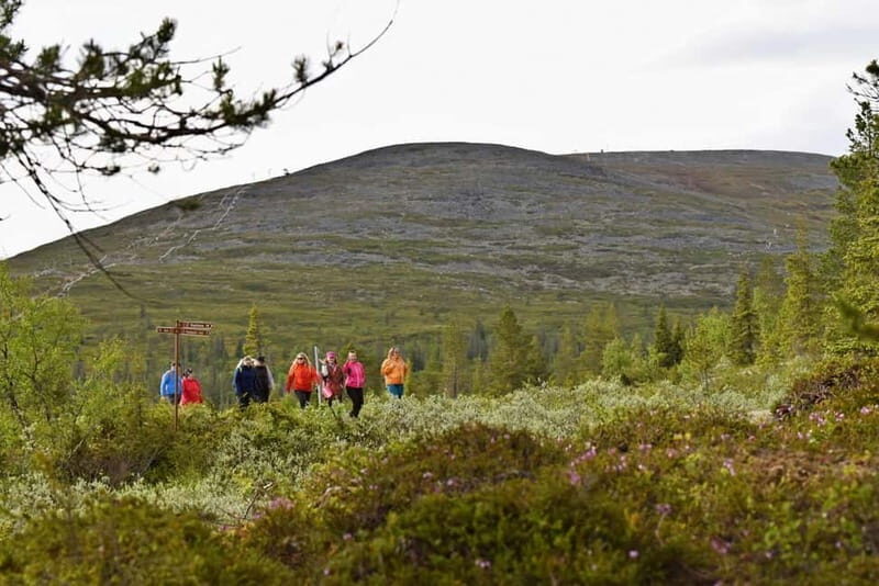 Levi: Pallas Panoramic Hike - The Experience and What You’ll Love