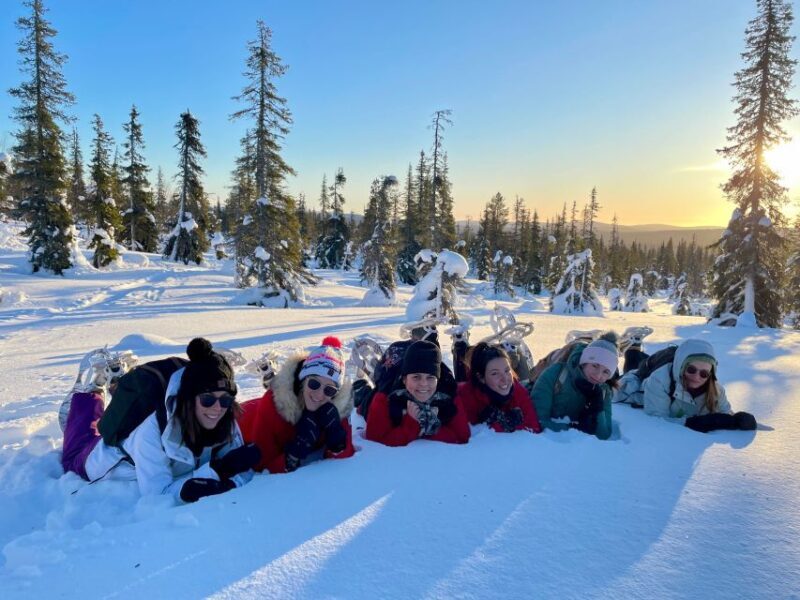 Levi: Pallas-Yllästunturi National Park Snowshoeing Tour - Levi: Pallas-Yllästunturi National Park Snowshoeing Tour