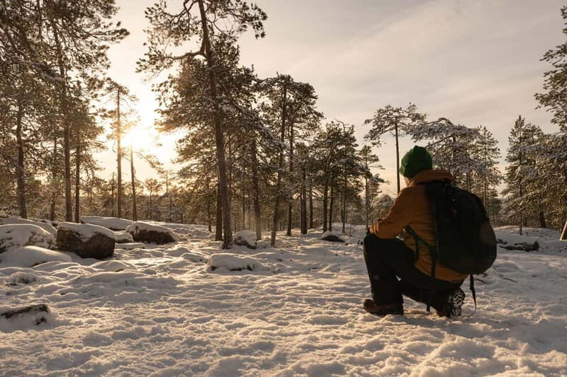Levi: Private Photoshoot in Nature Location in Levi - Who Is This Photoshoot Best Suited For?