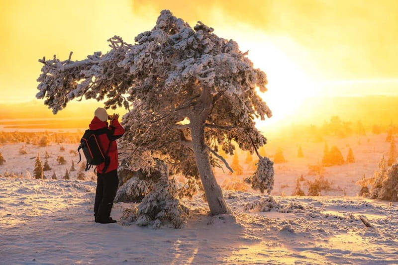 Levi: Private Photoshoot in Nature Location in Levi - The Sum Up