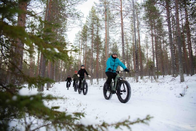 Levi: Reindeer Farm E-Fatbike Safari - Key Points