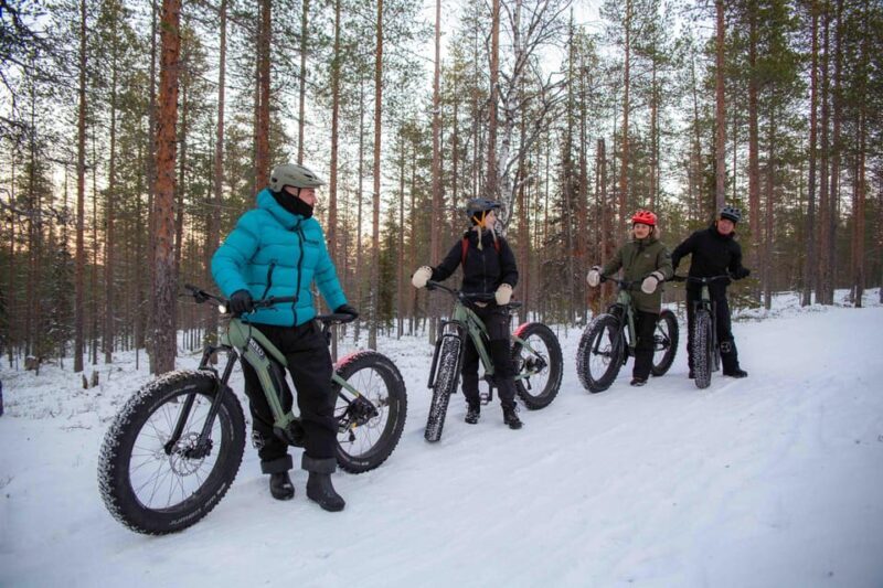 Levi: Reindeer Farm E-Fatbike Safari - Cozy Break with Hot Drinks and Pastries