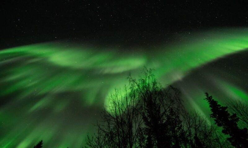 Levi: Search for Northern Lights in snowmobile sleigh - An In-Depth Look at the Tour Experience