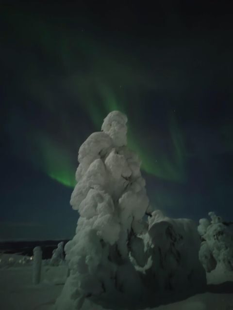 Levi: Search for Northern Lights in snowmobile sleigh - Authentic Experience in a Beautiful Setting