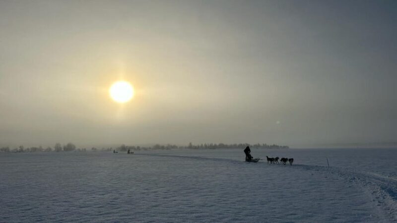 Levi: Self-Drive 5 KM Husky Sledding Experience - An In-Depth Look at What You Can Expect