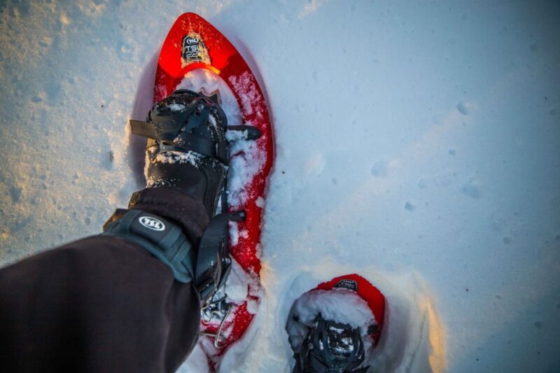 Levi: Snowshoe Adventure in the Wilderness - What Makes This Tour Special?