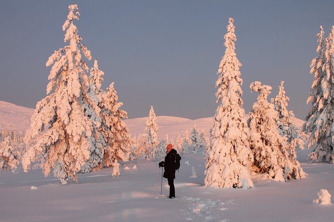 Levi: Snowshoeing adventure in the National Park - Detailed Breakdown of the Tour Experience