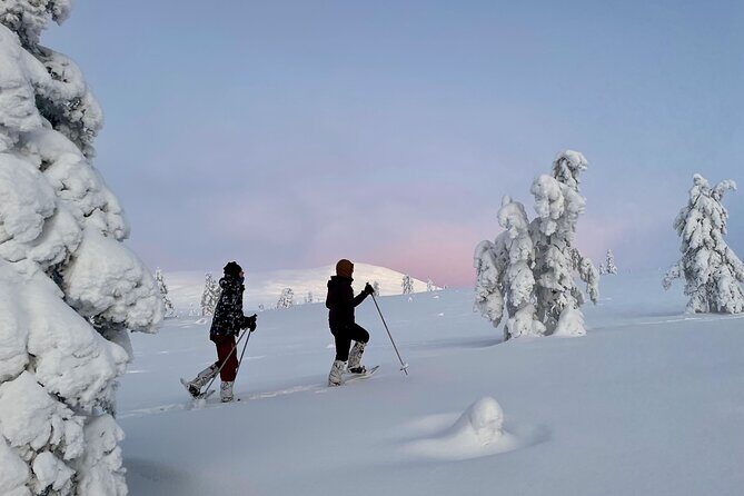 Levi: Snowshoeing adventure in the National Park - Practical Aspects: What You Need to Know