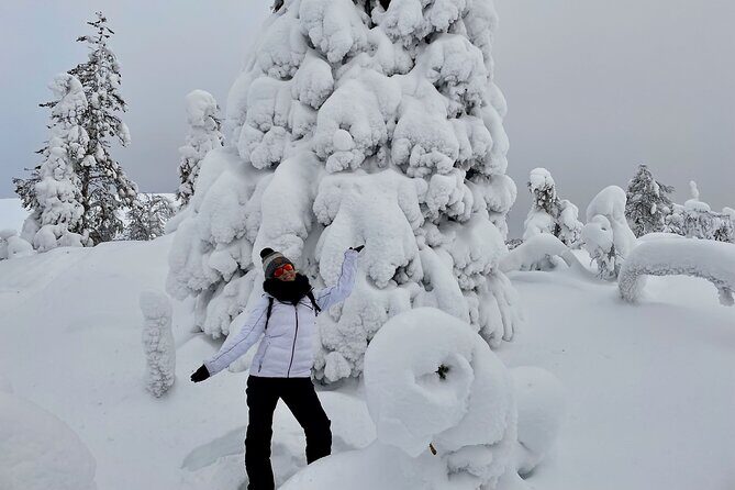 Levi: Snowshoeing adventure in the National Park - Authentic Insights from Reviews