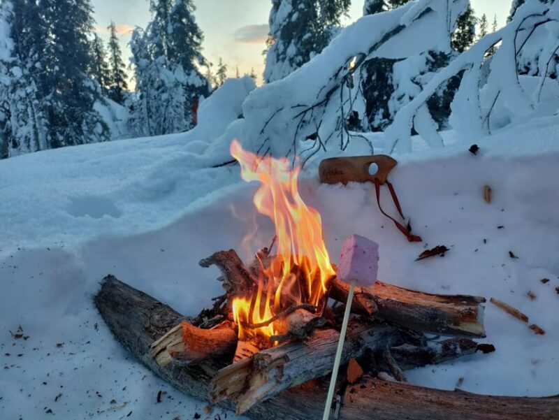 Levi: Snowshoeing and Marshmallow Grilling in the Snow - Practical Tips for Travelers