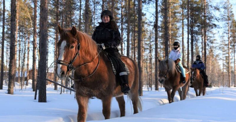 Levi: Snowy Forest Ride and Polar Lights Tours - Key Points