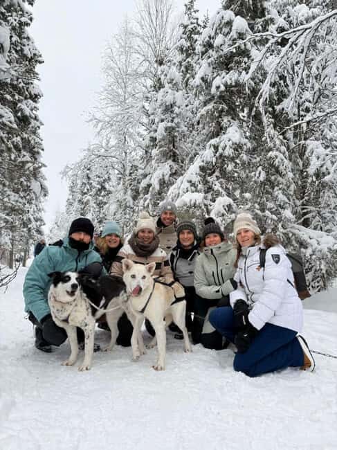 Levi: Winter Husky Journey & Puppy Playtime - Authenticity & Authentic Experiences