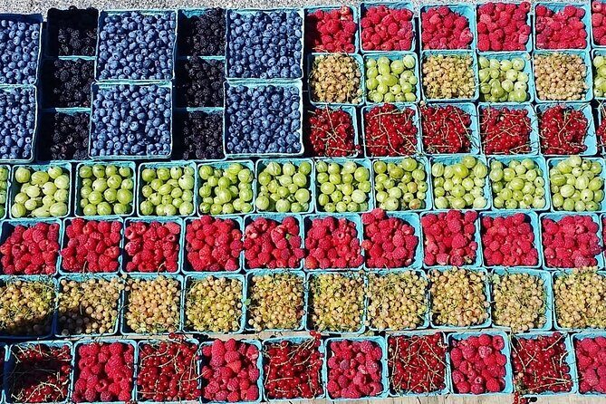 Lewin Farms, Lavender By The Bay and Tanger Outlets Full-Day Tour - A Closer Look at the Itinerary and Highlights
