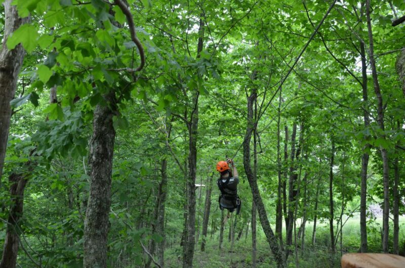 Lexington: Fully Guided Zipline Canopy Tour - The Experience: Why Its Special