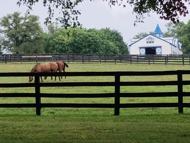 Lexington: Thoroughbred Horse Farm Tour and Scenic Bluegrass - Introduction