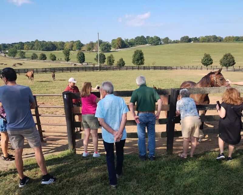 Lexington: Thoroughbred Horse Farm Tour and Scenic Bluegrass - Key Points