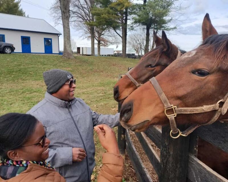 Lexington: Thoroughbred Horse Farm Tour and Scenic Bluegrass - Who Would Love This Experience?