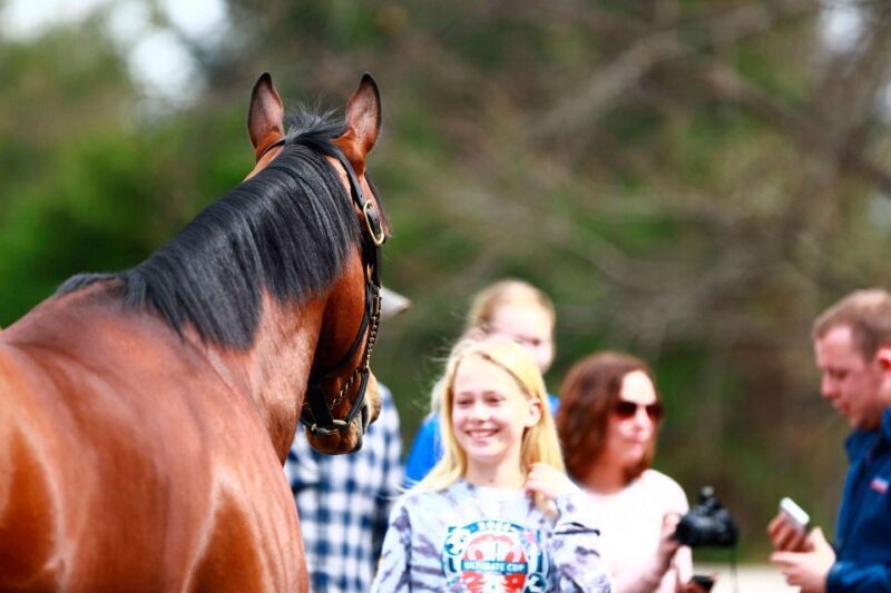 Lexington: Thoroughbred Horse Farm Tour and Scenic Bluegrass - FAQ
