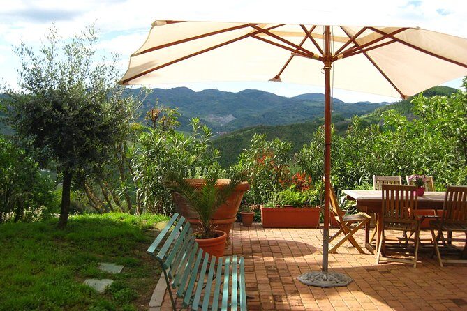 Lezione con Chef di Cucina Tradizionale Bolognese - Who Should Book This Tour?