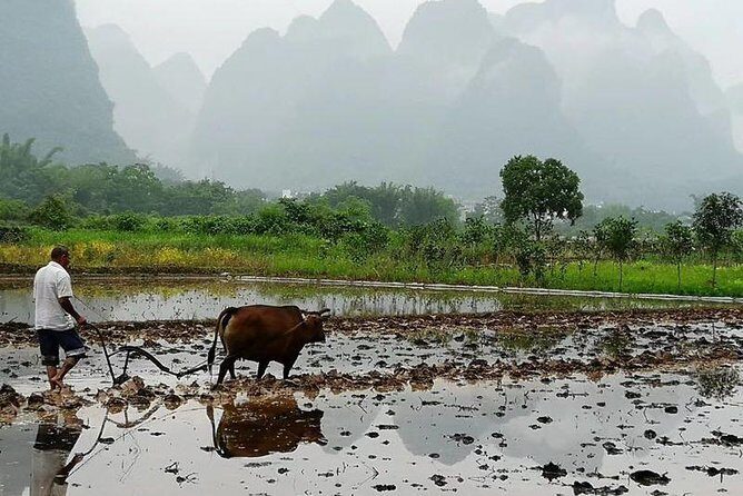 Li River Bamboo boat Cruise & Yangshuo Village private day tour - Authentic Experiences and Highlighted Moments