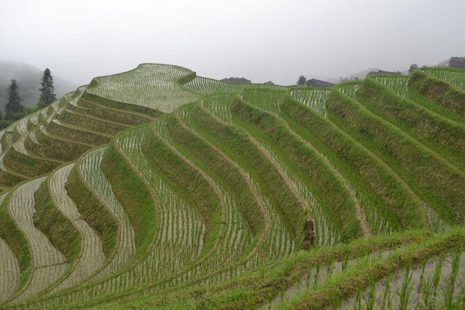 Li River Xingping Yulong River Xianggong Hill Light Show Tour - FAQ