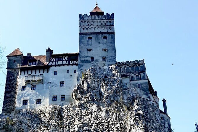 Libearty Bear Sanctuary and Dracula's Castle - Day Tour from Bucharest - Final Words