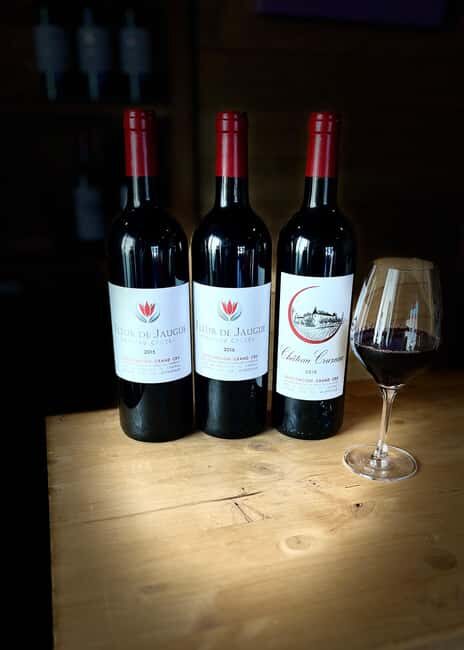 Libourne: Winery Tour with Wine and Chocolate Tasting - Final Thoughts