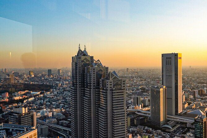Licensed Guide Shinjuku Underground Mall Tour (Tokyo) - Who Would Love This Tour?