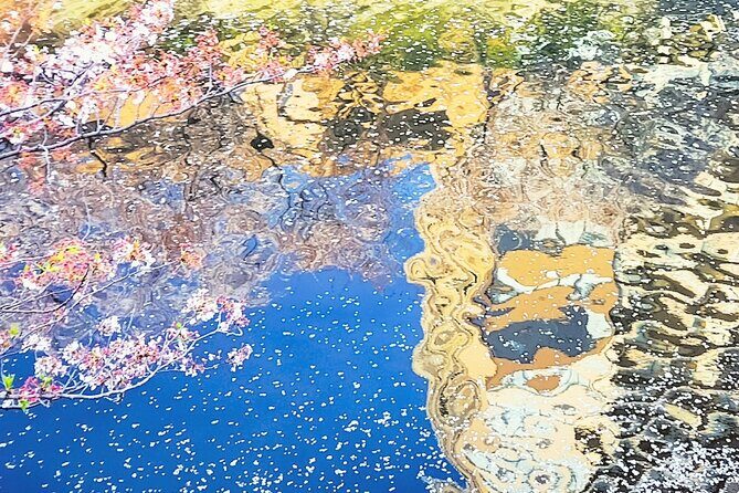 Licensed Guide Tokyo Meguro Cherry Blossom Walking Tour - FAQs