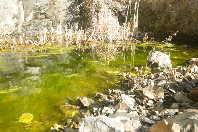 Lievàntu Wine Experience - Exploring the Lievàntu Wine Experience: A Deep Dive into Italy’s Hidden Gem